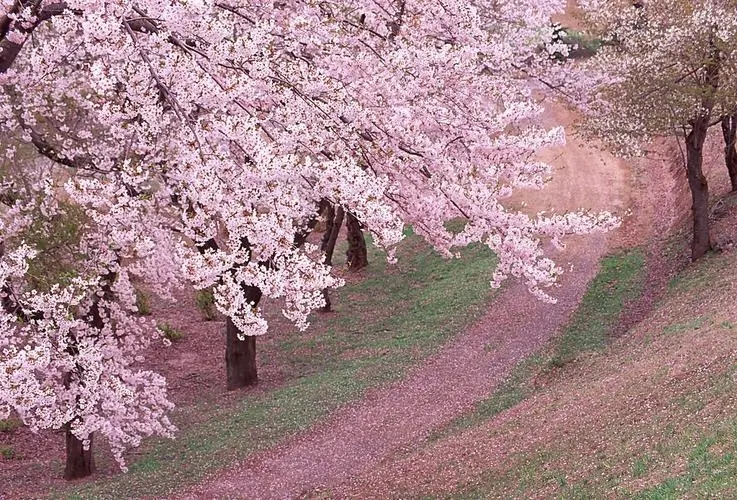 u=3573730836,3516976112&fm=253&fmt=auto&app=138&f=JPEG.webp